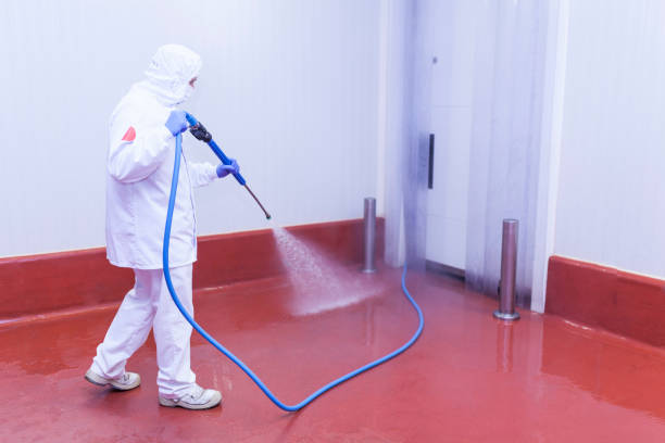 Best Warehouse Cleaning  in South San Gabriel, CA