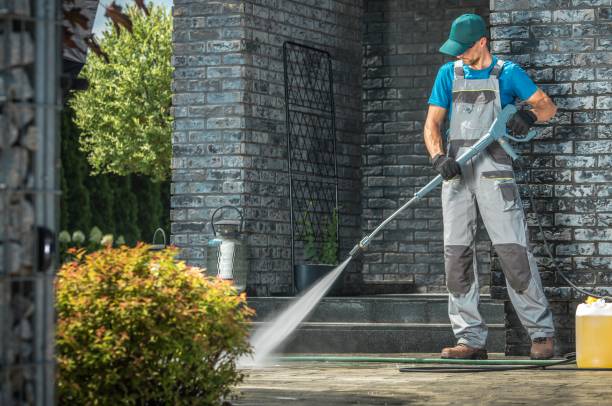 Animal Enclosure Cleaning in South San Gabriel, CA